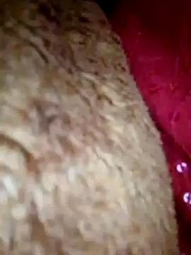 Talkwithsex online show from April 1, 2026, 7:53 am