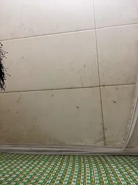 Miu Xinh online show from April 7, 2026, 6:19 pm