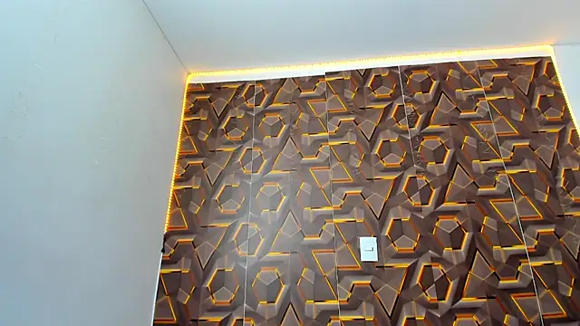 abbyyevanss online show from February 19, 2026, 8:16 pm