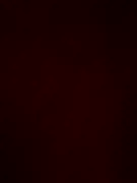 macariocb online show from May 15, 2026, 1:34 am