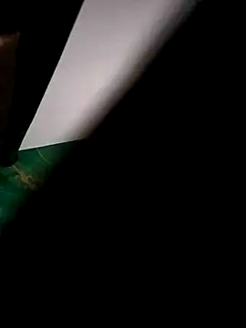 Snapshot of saswatji chatting on February 16, 2026, 1:46 am saswatji online show from February 16, 2026, 1:46 am