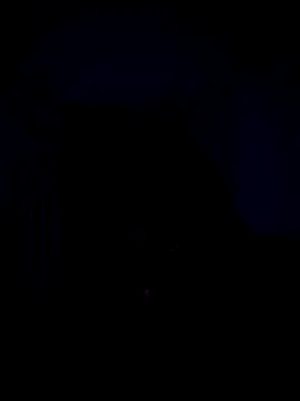 Snapshot of Telugucouple69 chatting on February 15, 2026, 10:17 pm Telugucouple69 online show from February 15, 2026, 10:17 pm