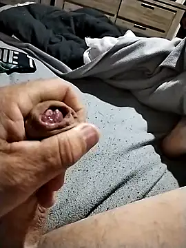 Snapshot of bigboydongi chatting on March 22, 2026, 6:22 pm bigboydongi online show from March 22, 2026, 6:22 pm