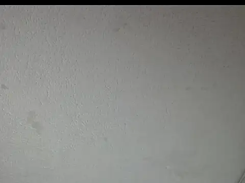 Snapshot of peytonbrunette chatting on March 23, 2026, 5:22 am peytonbrunette online show from March 23, 2026, 5:22 am