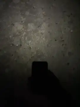 Snapshot of stallone_italiano_62 chatting on February 17, 2026, 11:22 pm stallone italiano 62 online show from February 17, 2026, 11:22 pm