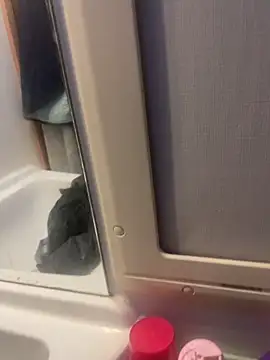 Snapshot of stallone_italiano_62 chatting on February 26, 2026, 6:56 am stallone italiano 62 online show from February 26, 2026, 6:56 am