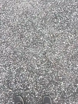 stallone italiano 62 online show from April 12, 2026, 6:18 am