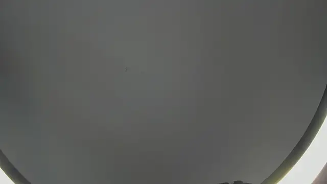 SinLickerr online show from February 18, 2026, 7:43 pm