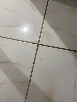 lopes22246 online show from February 19, 2026, 12:06 am