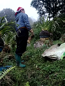 Snapshot of nelina_12345 chatting on February 13, 2026, 10:44 am nelina 12345 online show from February 13, 2026, 10:44 am