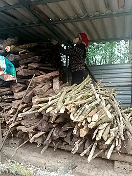 nelina 12345 online show from April 15, 2026, 12:17 am