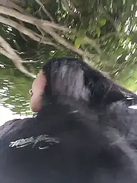 Freckless  online show from March 23, 2026, 6:45 pm