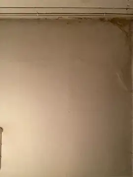 Snapshot of _Sabah_ chatting on February 23, 2026, 10:07 pm Sabah online show from February 23, 2026, 10:07 pm