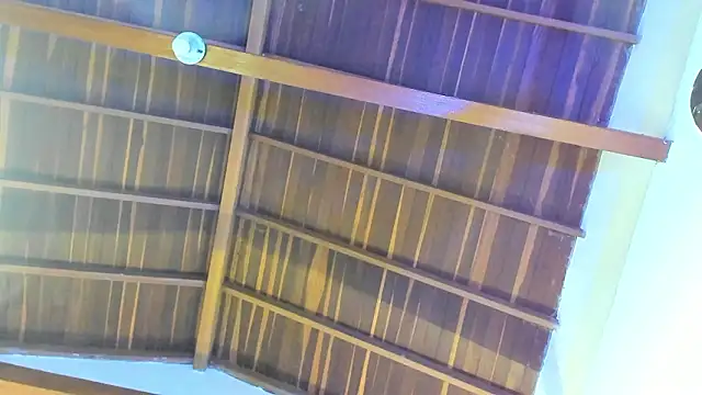 Snapshot of TonyPetrovjs chatting on February 26, 2026, 5:50 am TonyPetrovjs online show from February 26, 2026, 5:50 am