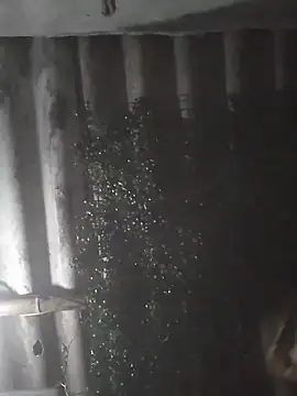 mar coral2 online show from March 28, 2026, 4:01 am