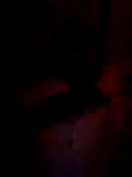 Snapshot of wifedesi7050 chatting on March 5, 2026, 4:47 pm wifedesi7050 online show from March 5, 2026, 4:47 pm