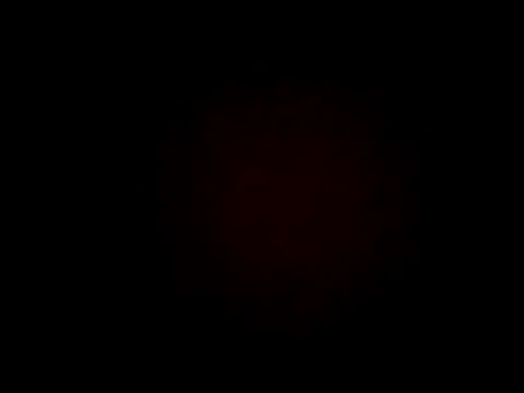 wifedesi7050 online show from April 7, 2026, 4:24 am