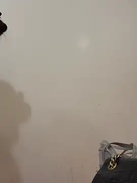 Snapshot of Dautay-mup chatting on March 4, 2026, 3:40 pm Dautay-mup online show from March 4, 2026, 3:40 pm