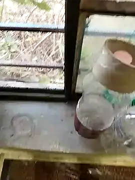 Snapshot of blackbeauty321 chatting on February 26, 2026, 11:20 am blackbeauty321 online show from February 26, 2026, 11:20 am