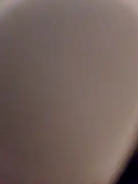 skynct2007 online show from February 24, 2026, 5:38 am