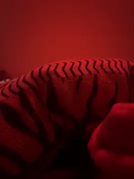 689Nika online show from April 23, 2026, 12:15 pm