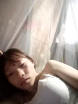 pic8800 online show from March 31, 2026, 7:14 pm