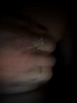 Rashmika Mandana online show from March 18, 2026, 6:55 pm