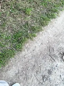 aras  25 online show from March 9, 2026, 2:43 pm