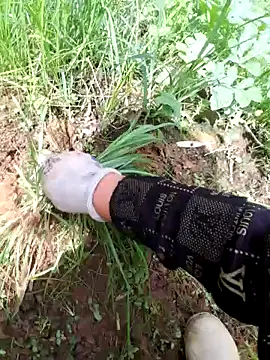 zanh99 online show from June 8, 2026, 8:04 am