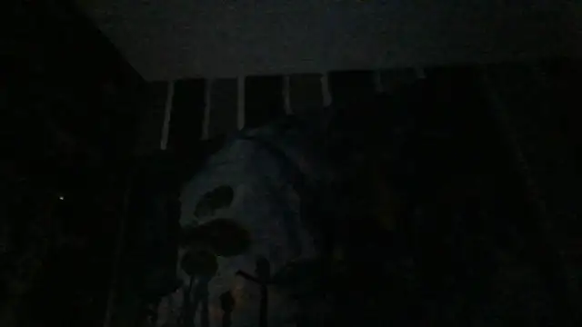 xoxchaarrxox online show from February 26, 2026, 7:07 am