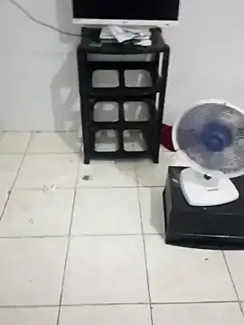 Snapshot of xxxputinhaxxxx chatting on February 26, 2026, 2:16 pm xxxputinhaxxxx online show from February 26, 2026, 2:16 pm