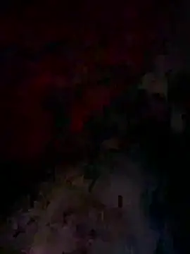 bwcyoussef online show from February 27, 2026, 6:35 am