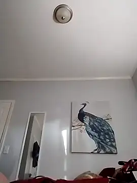 coestet online show from April 3, 2026, 10:30 pm