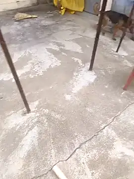 mylove202022 online show from March 15, 2026, 2:06 am