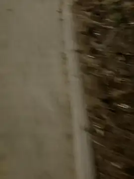 MarekPublicShow online show from March 3, 2026, 9:42 pm