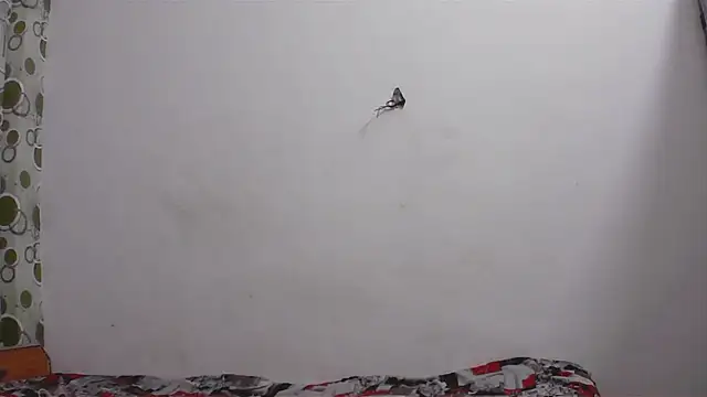 hard to do   online show from April 11, 2026, 5:17 pm