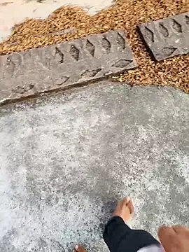 Desii rockstarr online show from March 17, 2026, 1:21 am