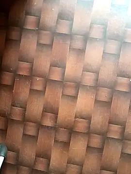 Dreamxii online show from March 13, 2026, 6:31 am