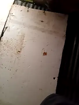 Snapshot of cuteboy023dick chatting on March 15, 2026, 1:50 pm cuteboy023dick online show from March 15, 2026, 1:50 pm