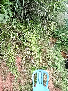 kalara kail online show from April 24, 2026, 12:35 am