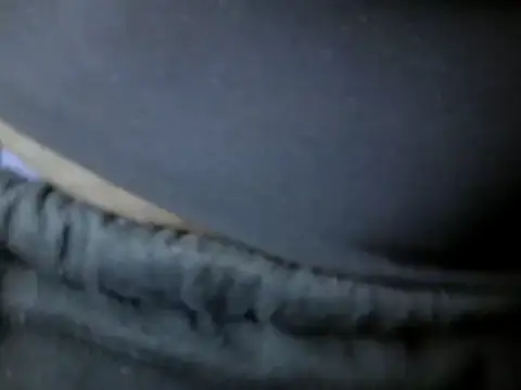 Sexy-Ebonise online show from March 22, 2026, 9:13 am