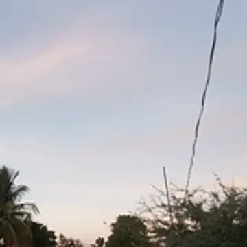 hotwife   br online show from April 9, 2026, 8:36 pm