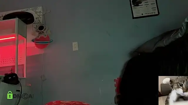 NatryDark online show from May 16, 2026, 4:42 am