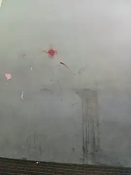 School teacher12 online show from April 15, 2026, 3:41 pm