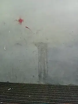 School teacher12 online show from April 19, 2026, 3:55 pm