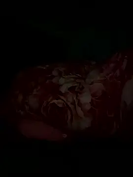 Snapshot of Dudu-me chatting on March 20, 2026, 12:15 am Dudu-me online show from March 20, 2026, 12:15 am