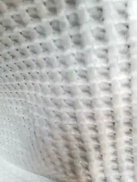 Aurora Nova online show from March 25, 2026, 6:08 am