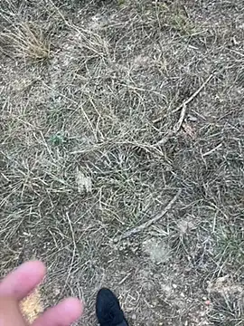 Snapshot of yingzi003 chatting on April 7, 2026, 7:42 am yingzi003 online show from April 7, 2026, 7:42 am