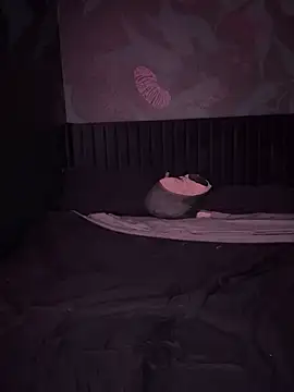 VERALONGG online show from April 3, 2026, 6:22 am