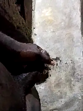 pksd3 online show from April 21, 2026, 4:52 am